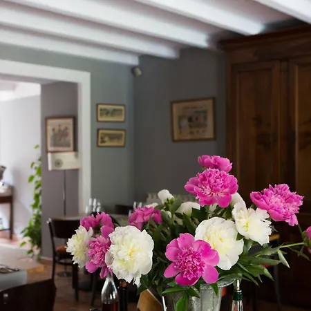 活力花园住宿加早餐旅馆 住宿加早餐酒店 4*