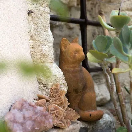 Les Jardins De La Livree לינה וארוחת בוקר Villeneuve-lès-Avignon