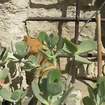 Bed & Breakfast Les Jardins De La Livree Villeneuve-les-Avignon