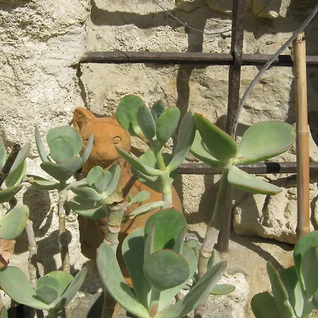 Bed & Breakfast Les Jardins De La Livree Villeneuve-lès-Avignon