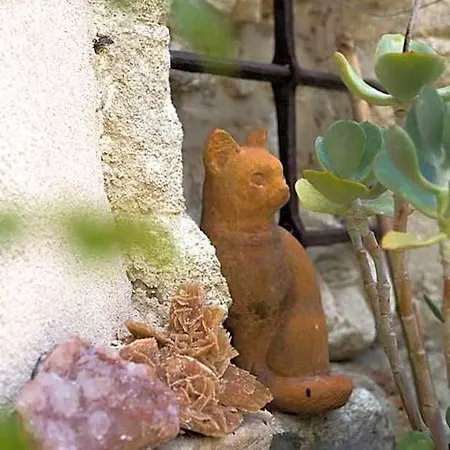 Les Jardins De La Livree فندق مبيت وإفطار فينوف ليز أفيجْنْ