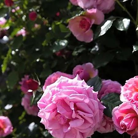 Les Jardins De La Livree فندق مبيت وإفطار