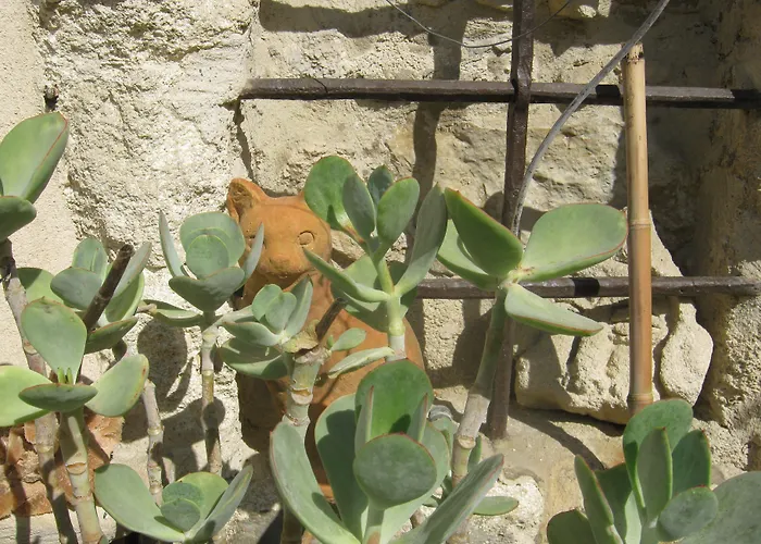 Bed and Breakfast Les Jardins De La Livree Villeneuve-lès-Avignon